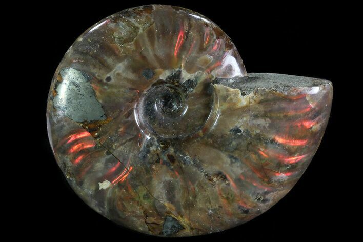 Iridescent Red Flash Ammonite (With Pyrite) - Madagascar #81382
